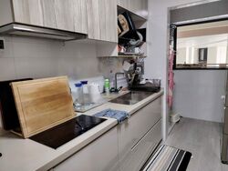 Blk 88 Skyville @ Dawson (Queenstown), HDB 4 Rooms #454744711